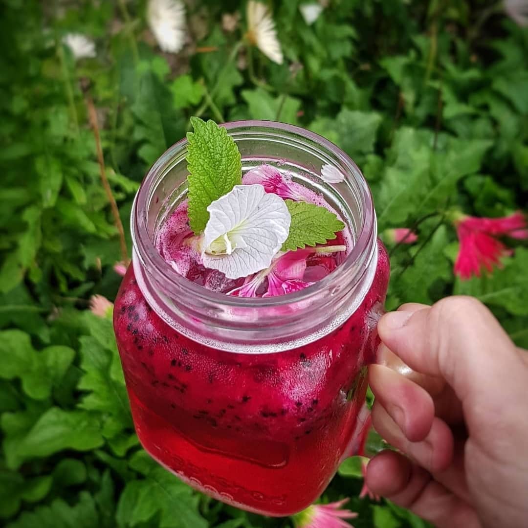 Purple Dragonfruit Gin with Strawberry Gum Syrup Gin