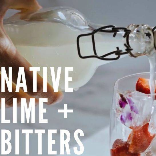 Native Lime + Bitters Cocktail